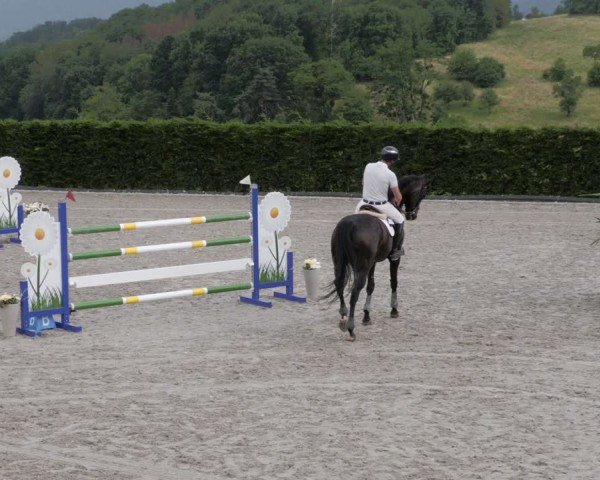 Reitturnier Margarethenhof / Beckingen 2024