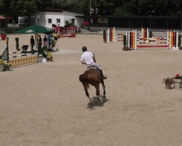 Reitturnier Ingolstadt-Hagau/Obb. 2024