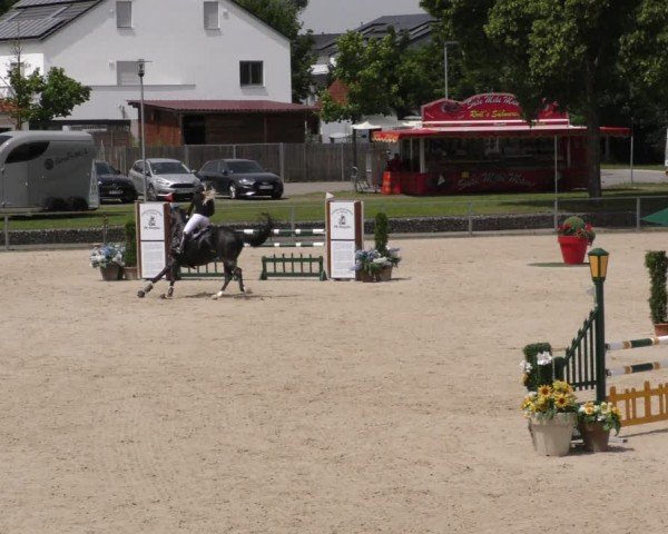 Reitturnier Ingolstadt-Hagau/Obb. 2024