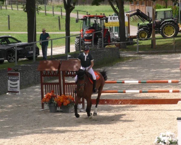 Reitturnier Ingolstadt-Hagau/Obb. 2024