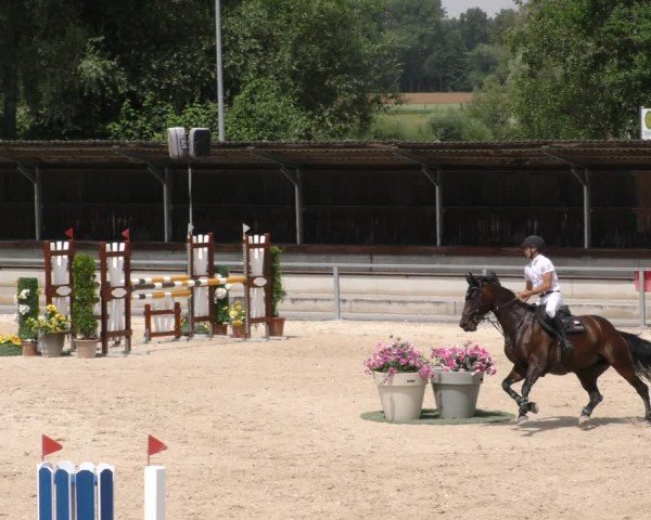 Reitturnier Ingolstadt-Hagau/Obb. 2024