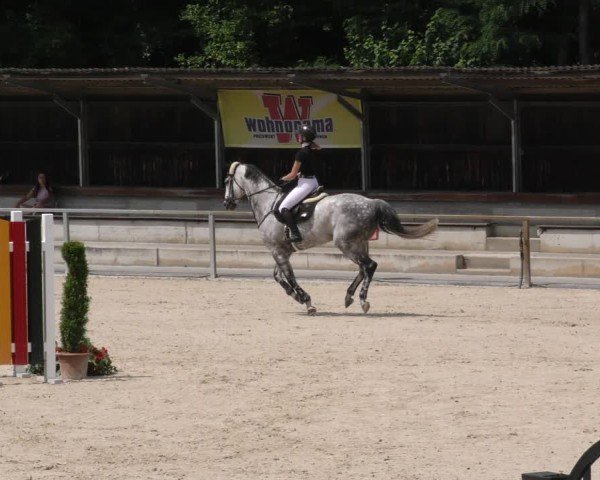Reitturnier Ingolstadt-Hagau/Obb. 2024