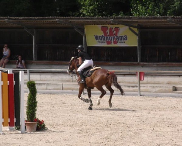 Reitturnier Ingolstadt-Hagau/Obb. 2024