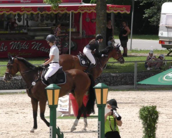 Reitturnier Ingolstadt-Hagau/Obb. 2024