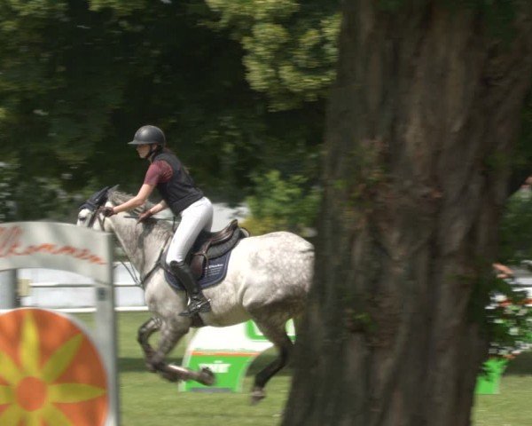 Reitturnier Schwittersdorf-Beesenstedt 2024