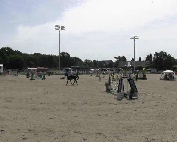 Reitturnier Langenfeld 2024