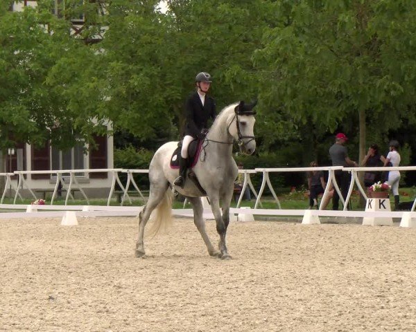 Reitturnier Avenches 2024