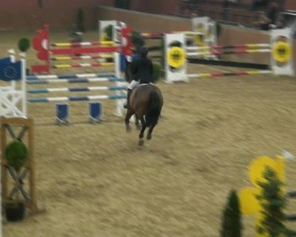 Junior Open 2012