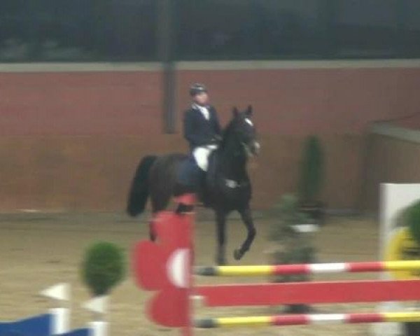 Junior Open 2012