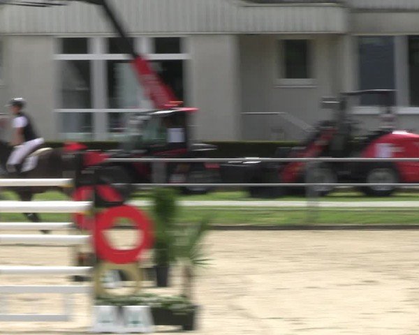 Reitturnier Langenfeld 2024