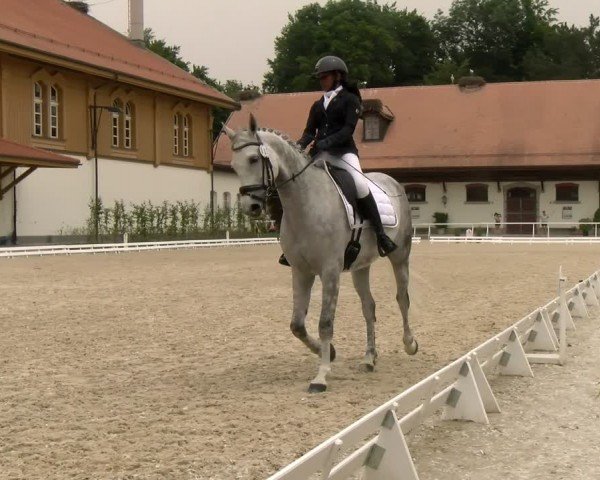 Reitturnier Avenches 2024