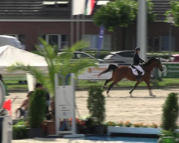 Reitturnier Langenfeld 2024