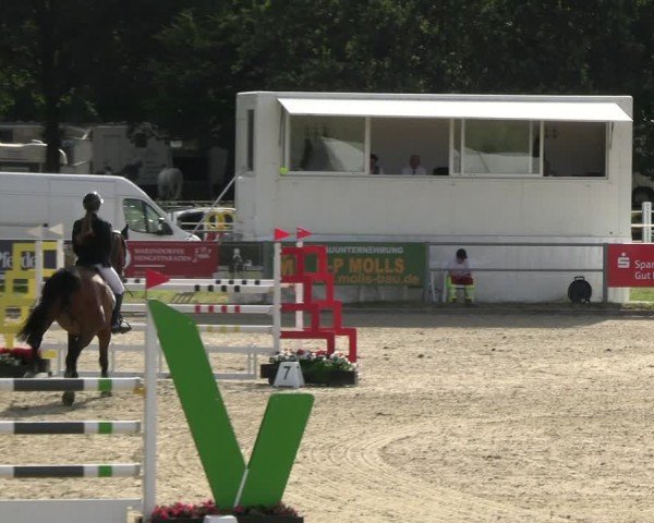 Reitturnier Langenfeld 2024