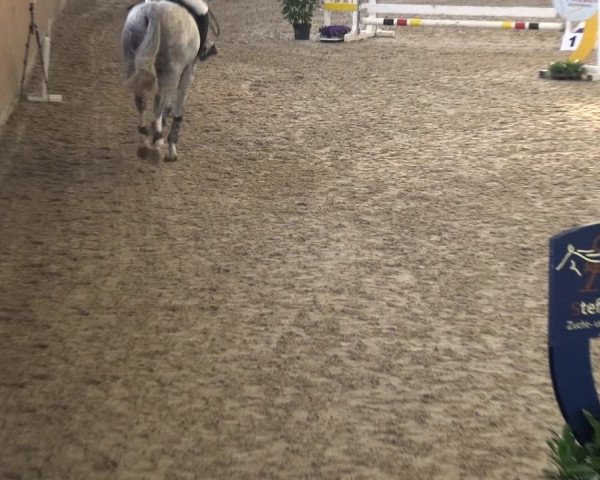 Springturnier Xanten - Reitanlage Miss 2021