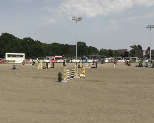 Reitturnier Langenfeld 2024
