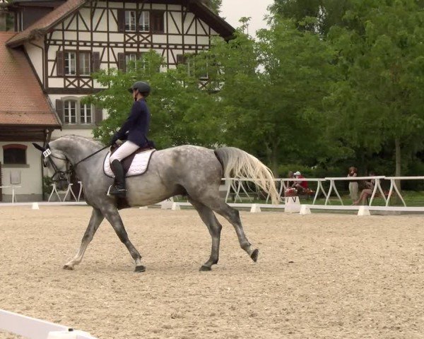 Reitturnier Avenches 2024