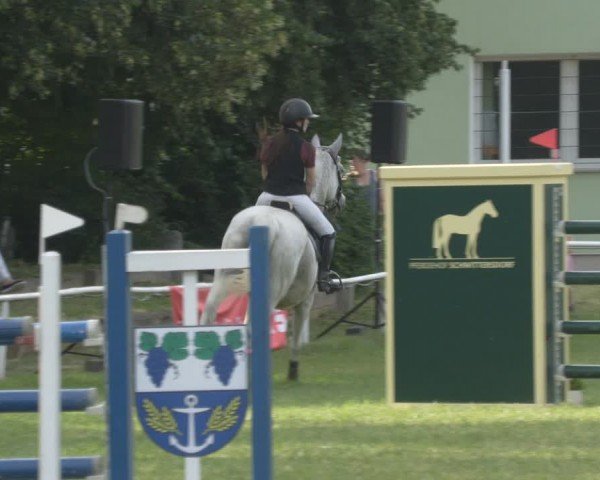 Reitturnier Schwittersdorf-Beesenstedt 2024