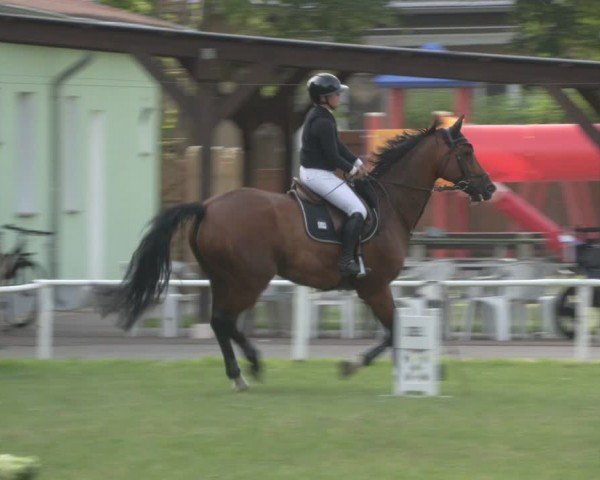 Reitturnier Schwittersdorf-Beesenstedt 2024