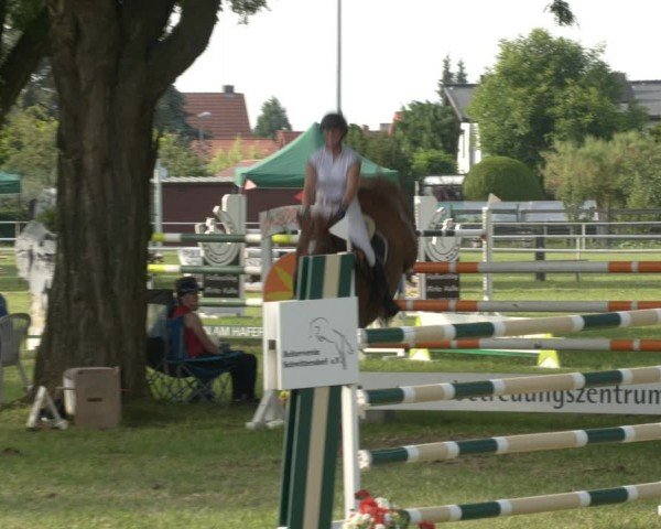 Reitturnier Schwittersdorf-Beesenstedt 2024