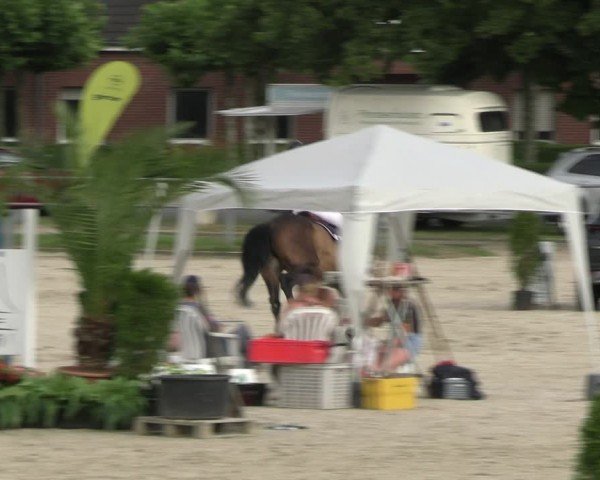 Reitturnier Langenfeld 2024