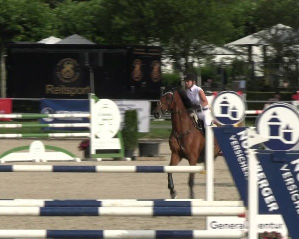 Reitturnier Langenfeld 2024