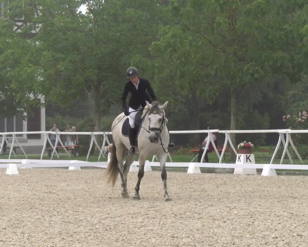 Reitturnier Avenches 2024