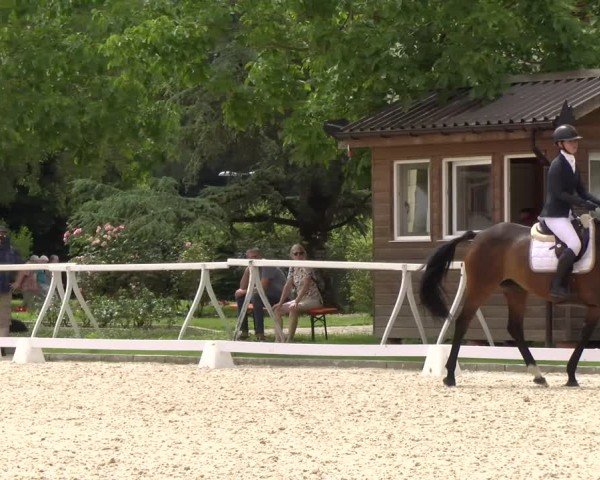 Reitturnier Avenches 2024