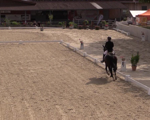Reitturnier Uder, Reitanlage Kobold 2024
