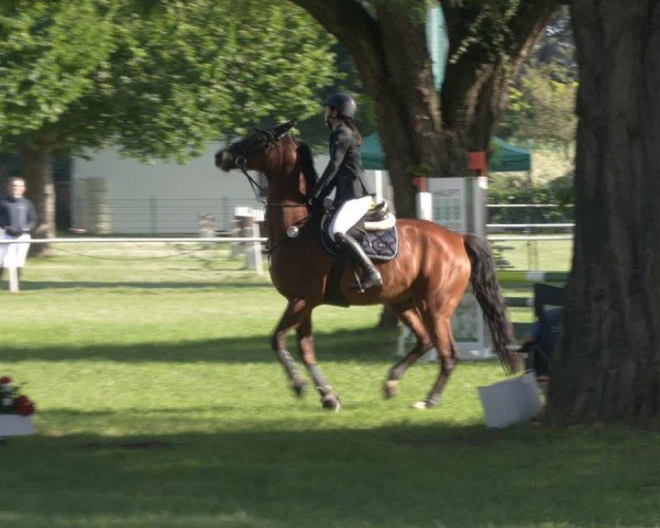 Reitturnier Schwittersdorf-Beesenstedt 2024