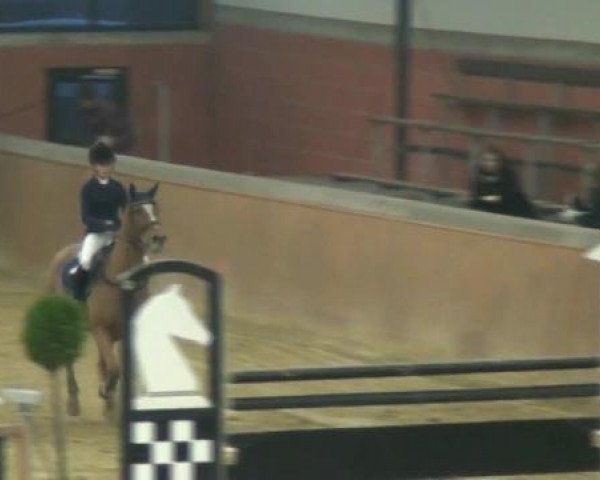 Junior Open 2012