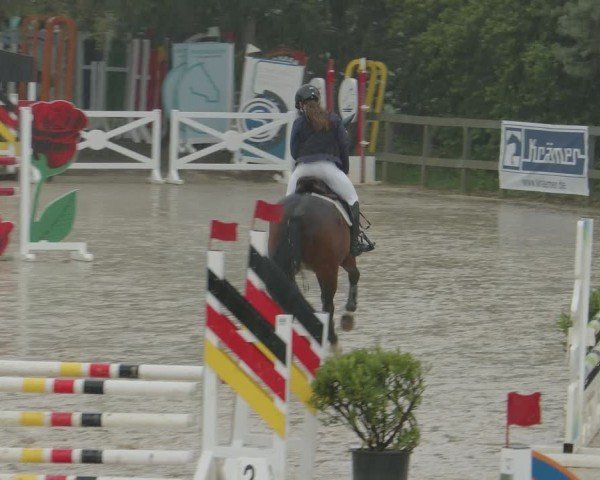 Reitturnier Kalenborn Hegehof 2024