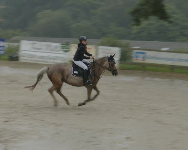 Reitturnier Kalenborn Hegehof 2024