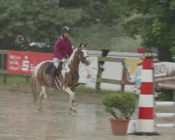Reitturnier Kalenborn Hegehof 2024
