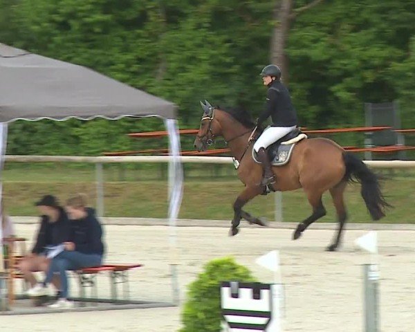 Reitturnier Großbardorf/Ufr. 2024