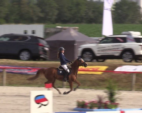 Reitturnier Holschdubrau 2024
