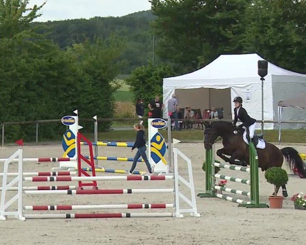 Reitturnier Großbardorf/Ufr. 2024