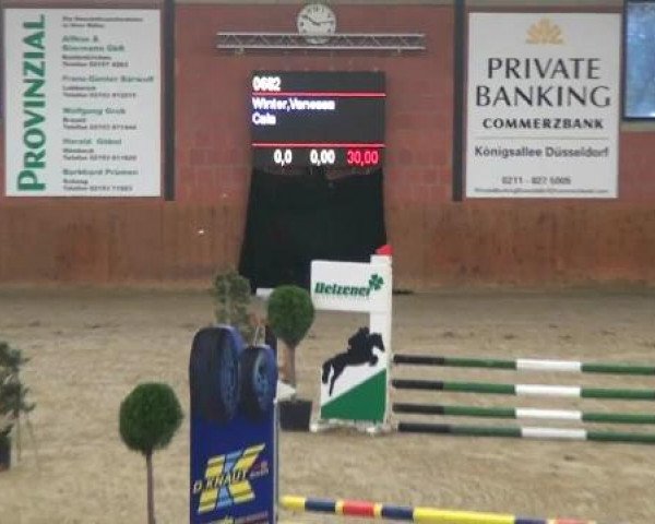Junior Open 2012