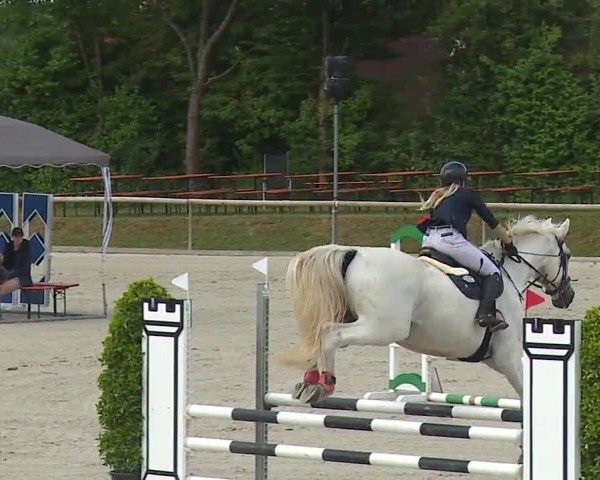 Reitturnier Großbardorf/Ufr. 2024