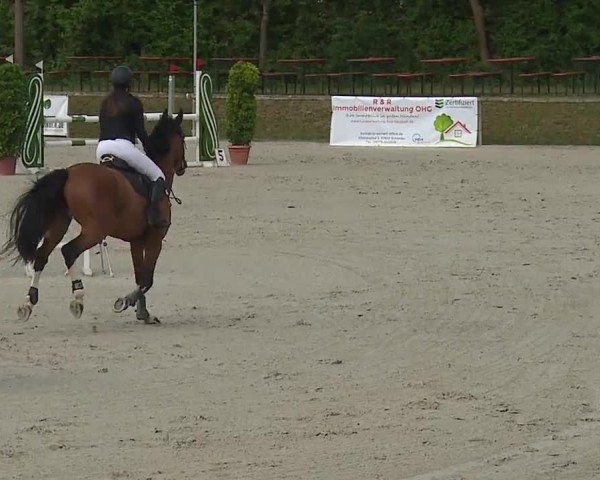Reitturnier Großbardorf/Ufr. 2024
