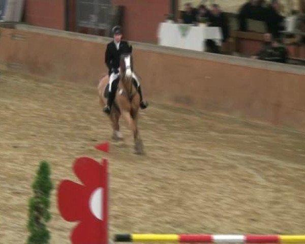 Junior Open 2012