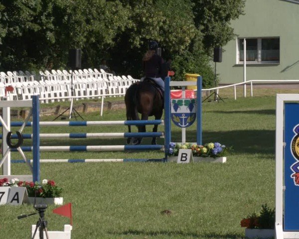 Reitturnier Schwittersdorf-Beesenstedt 2024