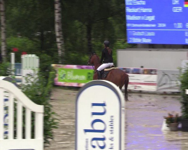 Reitturnier Schwerte-Gut Kückshausen 2024