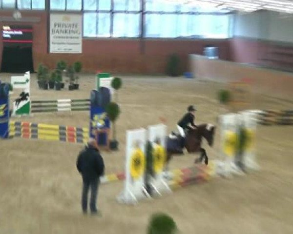 Reitturnier Nettetal-Lobberich 2012