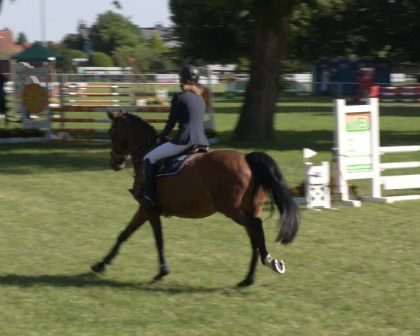 Reitturnier Schwittersdorf-Beesenstedt 2024