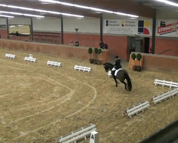 Junior Open 2012