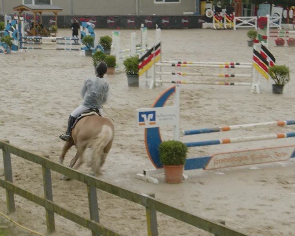 Reitturnier Kalenborn Hegehof 2024