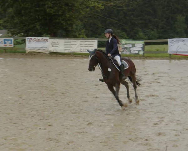 Reitturnier Kalenborn Hegehof 2024