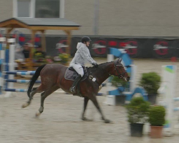 Reitturnier Kalenborn Hegehof 2024