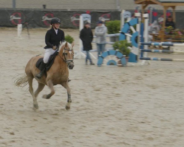Reitturnier Kalenborn Hegehof 2024