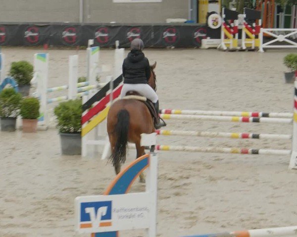 Reitturnier Kalenborn Hegehof 2024